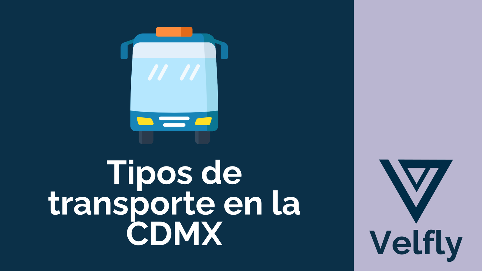 Tipos De Transporte En La Cdmx Velfly 1112